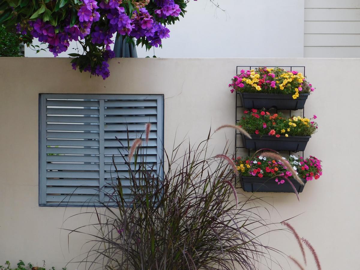Beachport Bed & Breakfast Port Macquarie Eksteriør billede